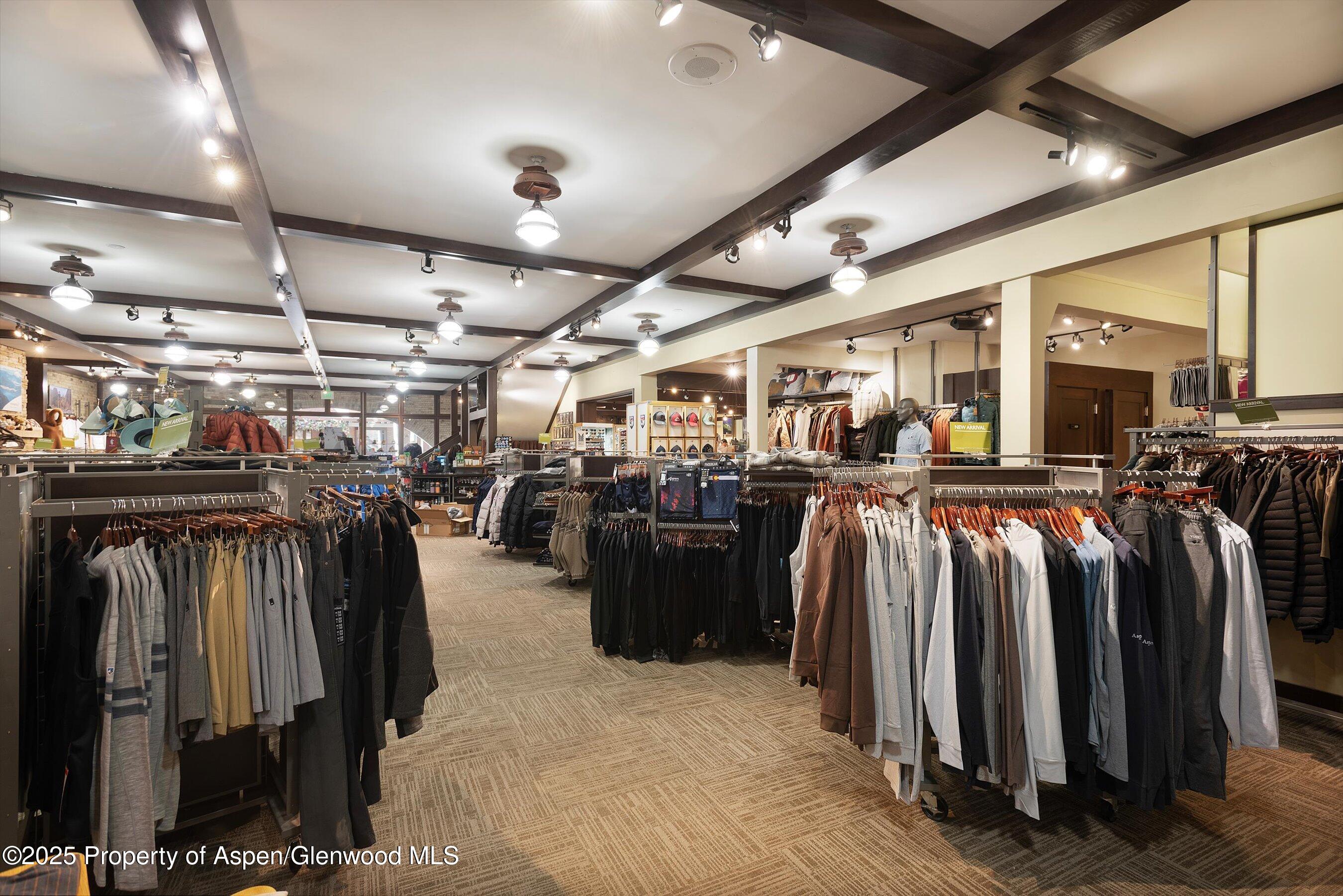 408 E Cooper Avenue, Aspen