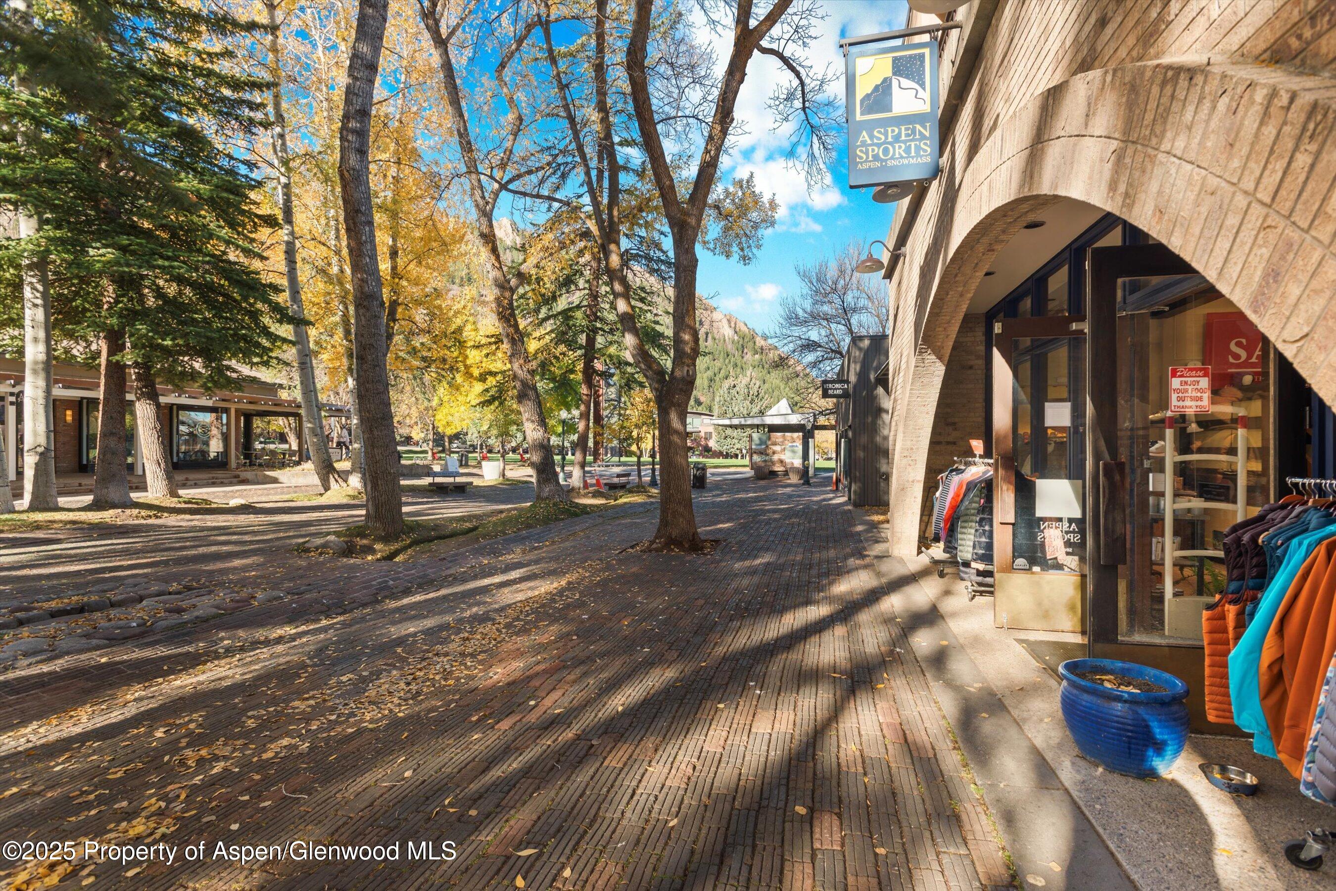 408 E Cooper Avenue, Aspen