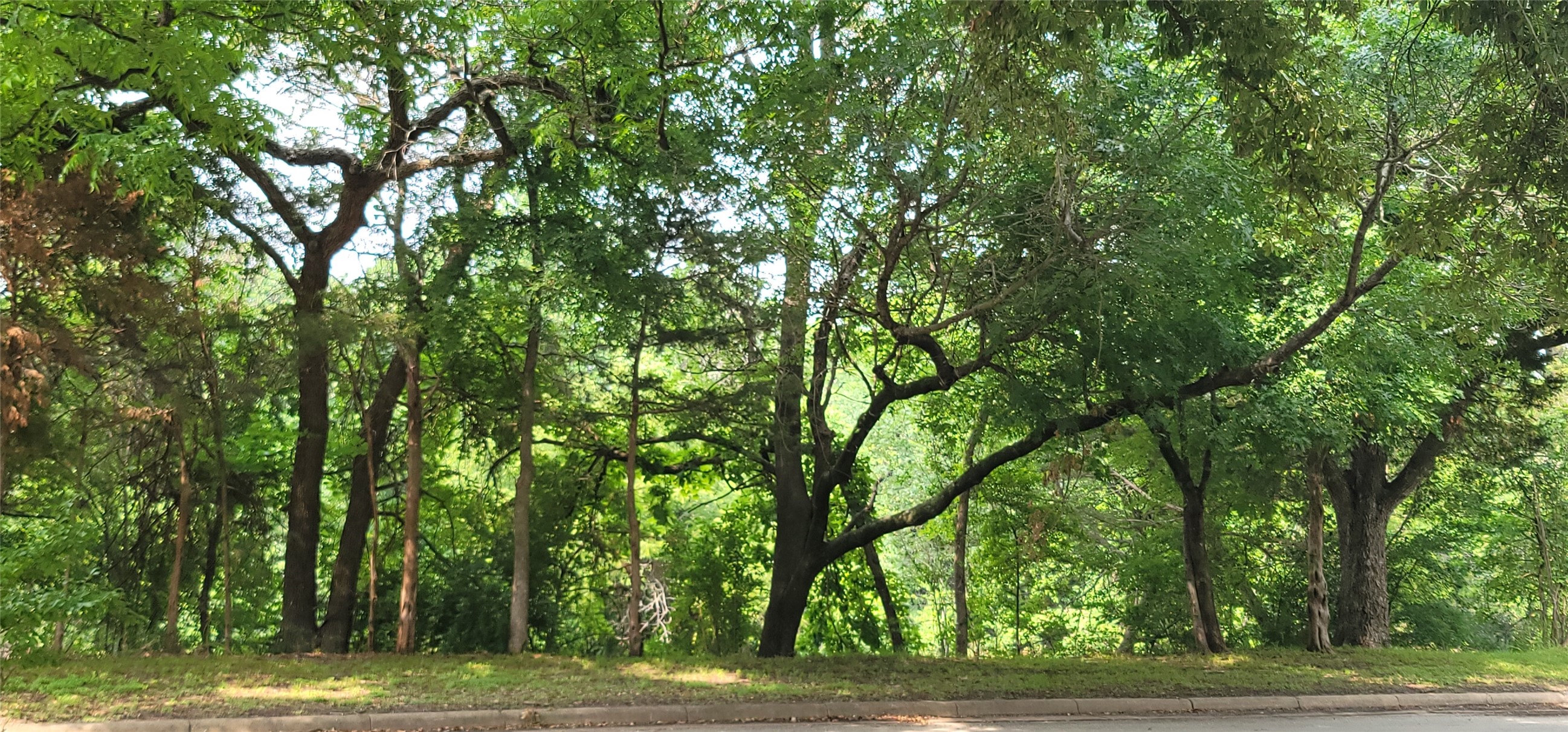 1516 W Five Mile Parkway