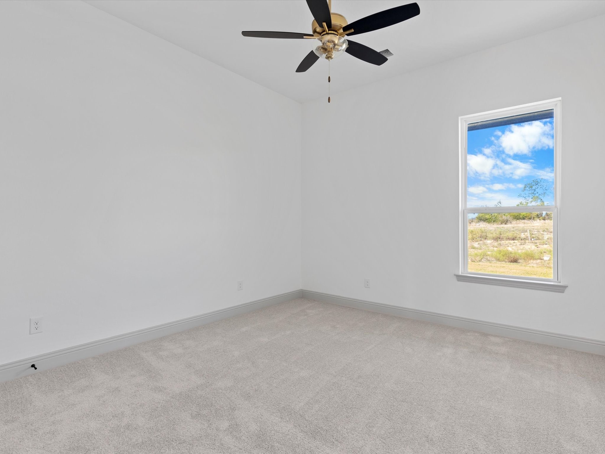 429 Collum View