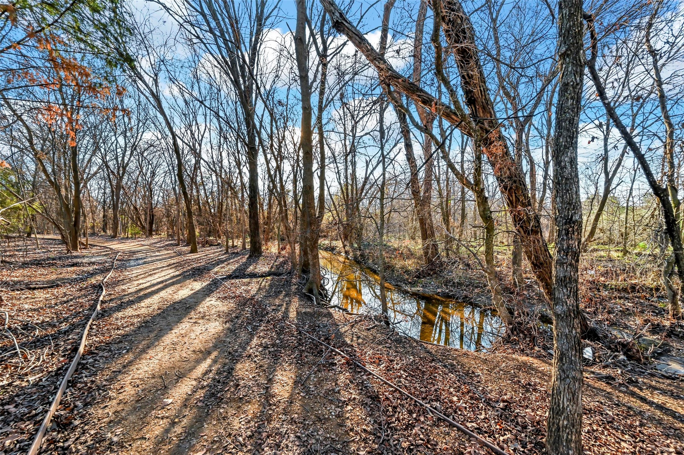 905 Horizon Ridge Circle