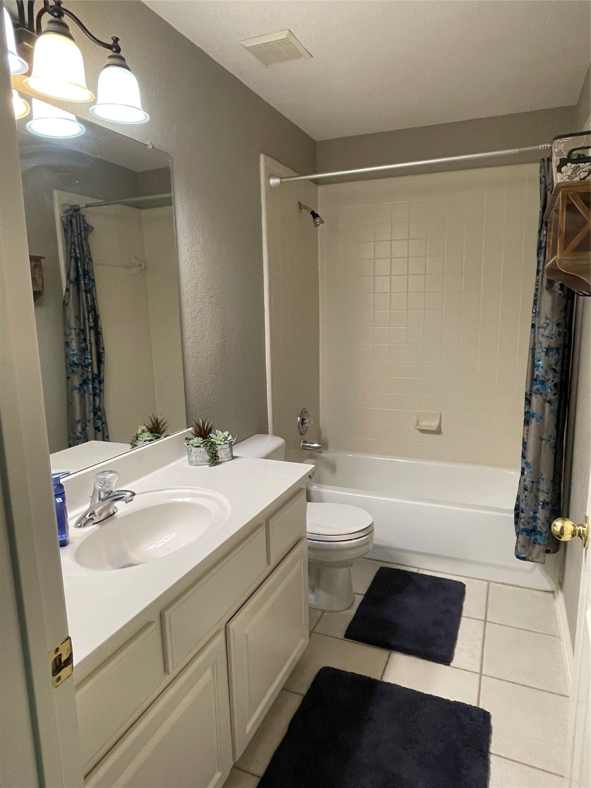 3106 Hidden Springs Drive