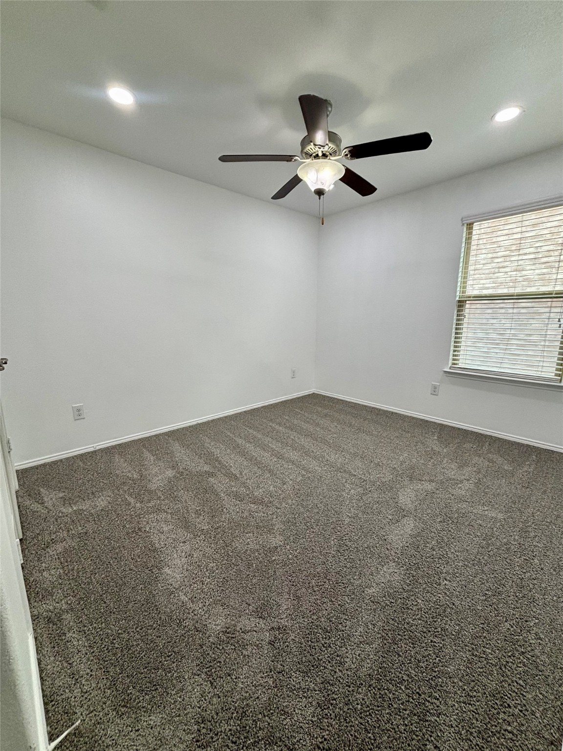 3100 Buckthorn Street