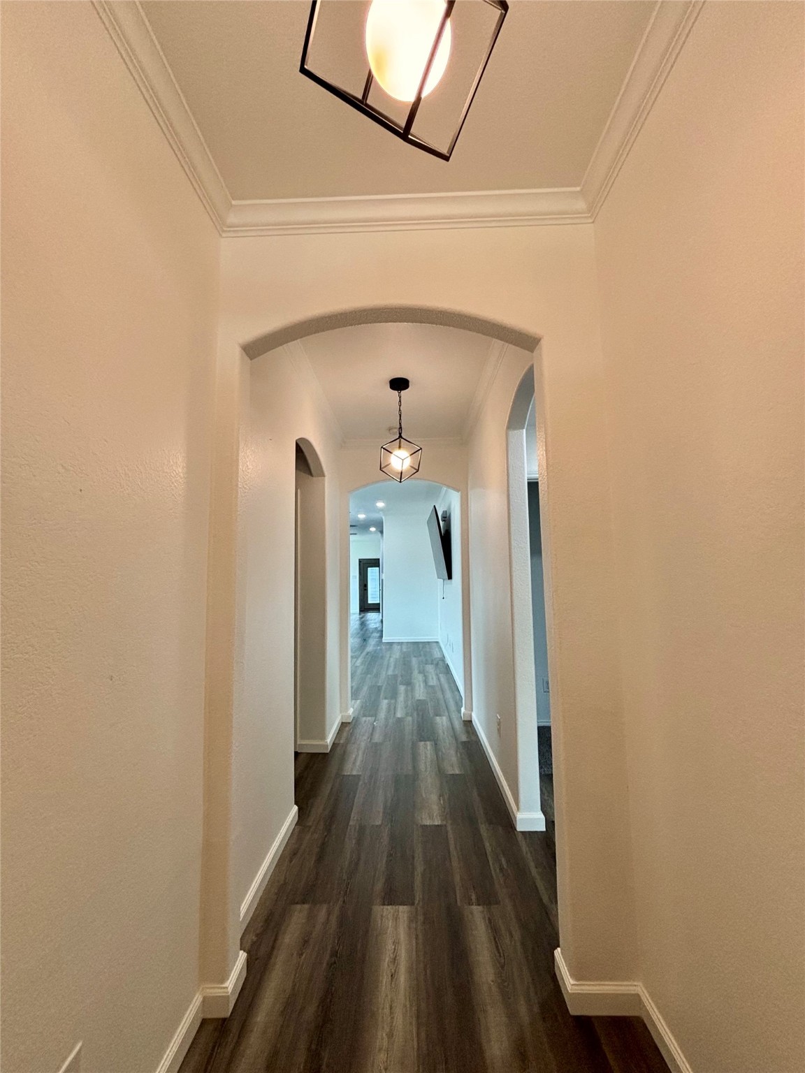 3100 Buckthorn Street