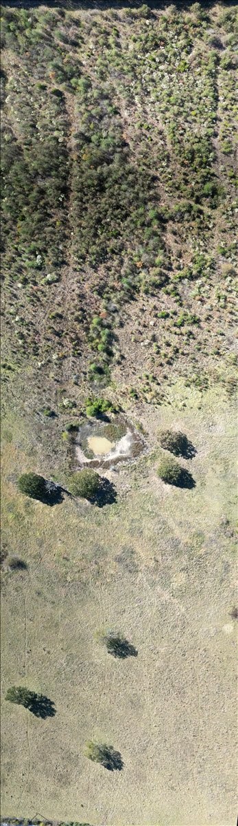 lot 5 Rains CR 2610
