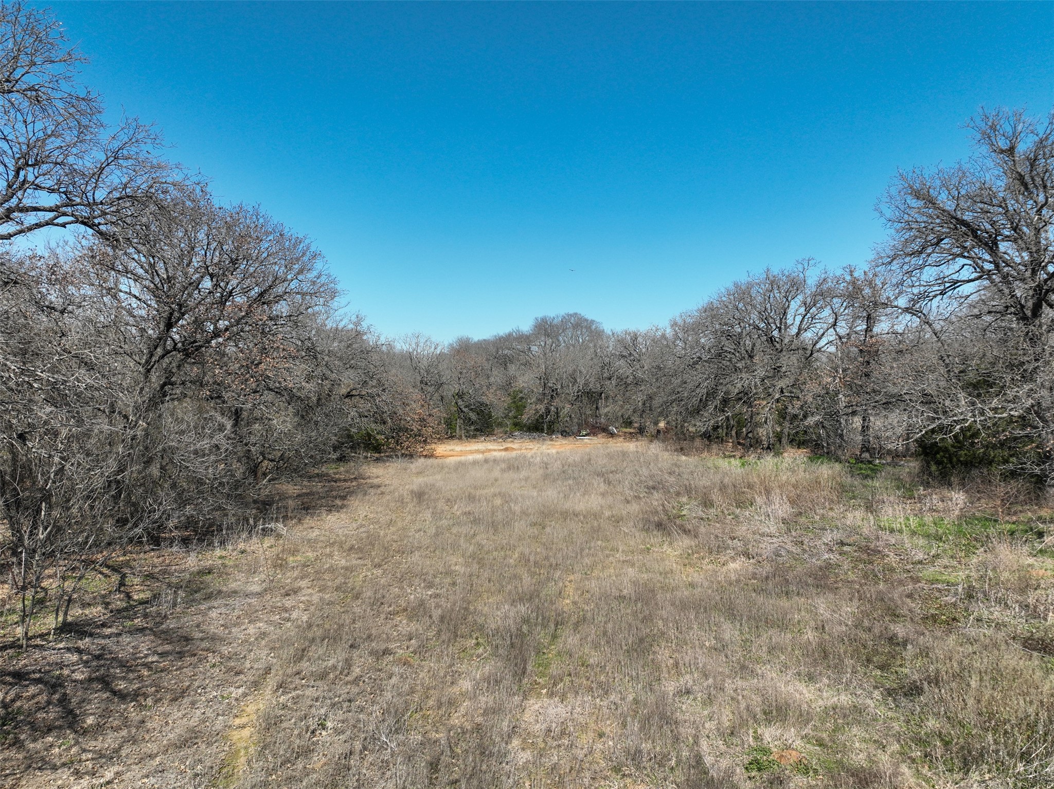 1854 Newt Patterson Road