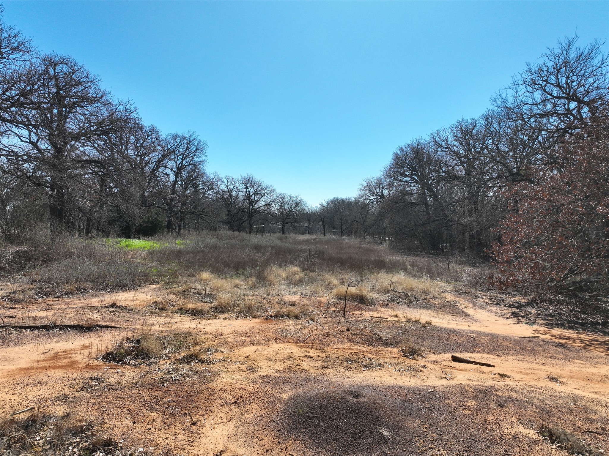 1854 Newt Patterson Road