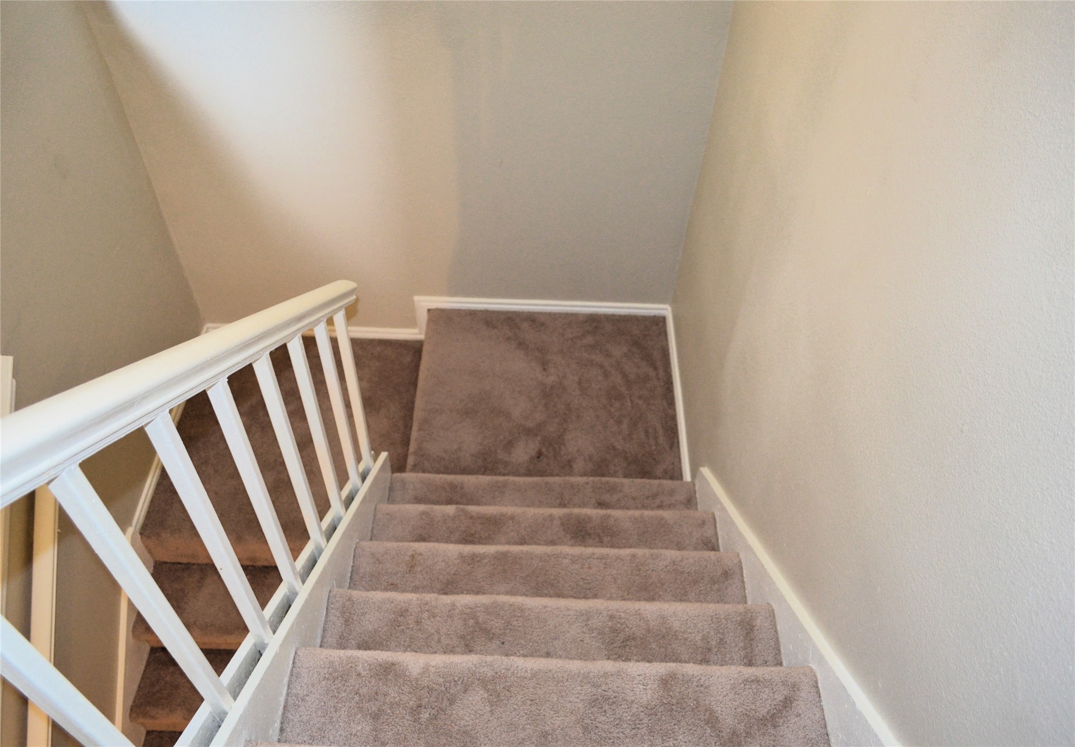 8404 Forest Lane 801
