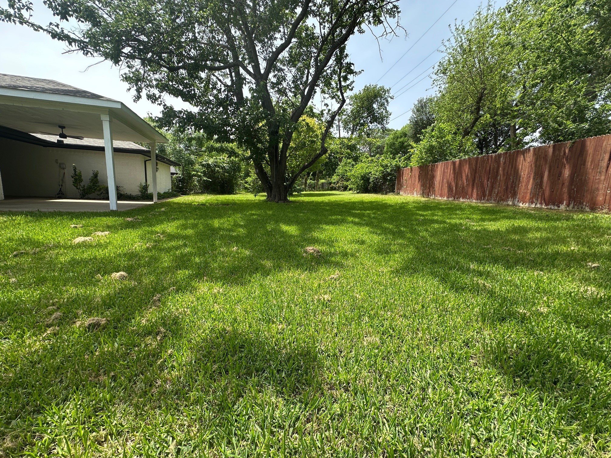719 Athenia Way