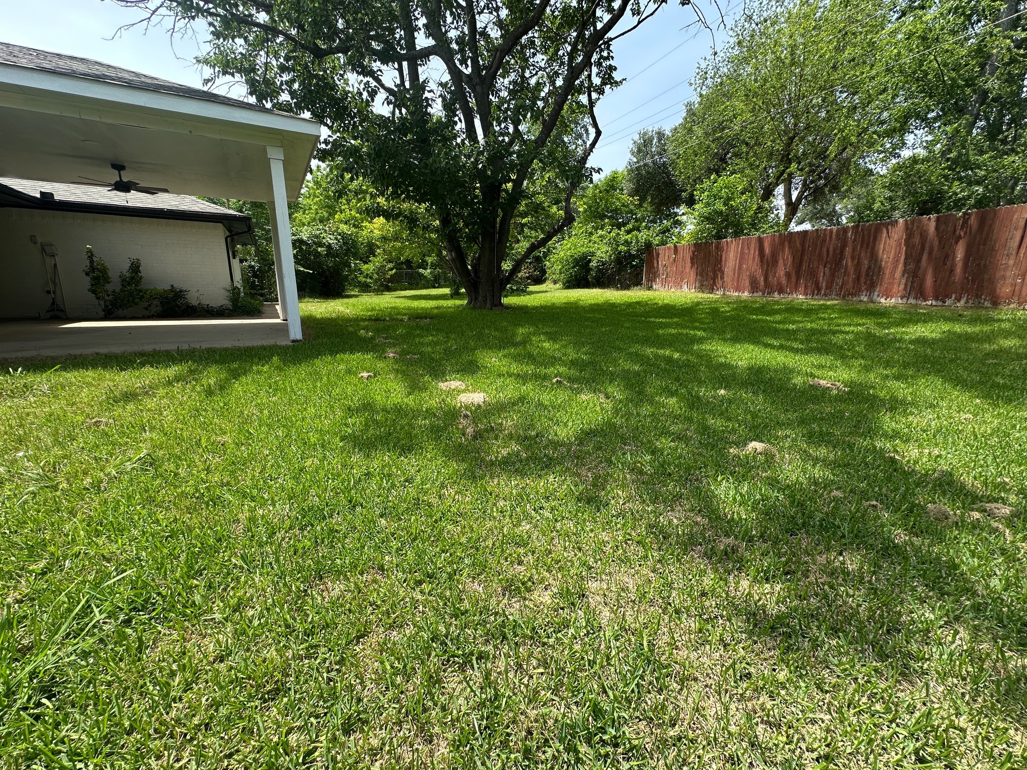 719 Athenia Way