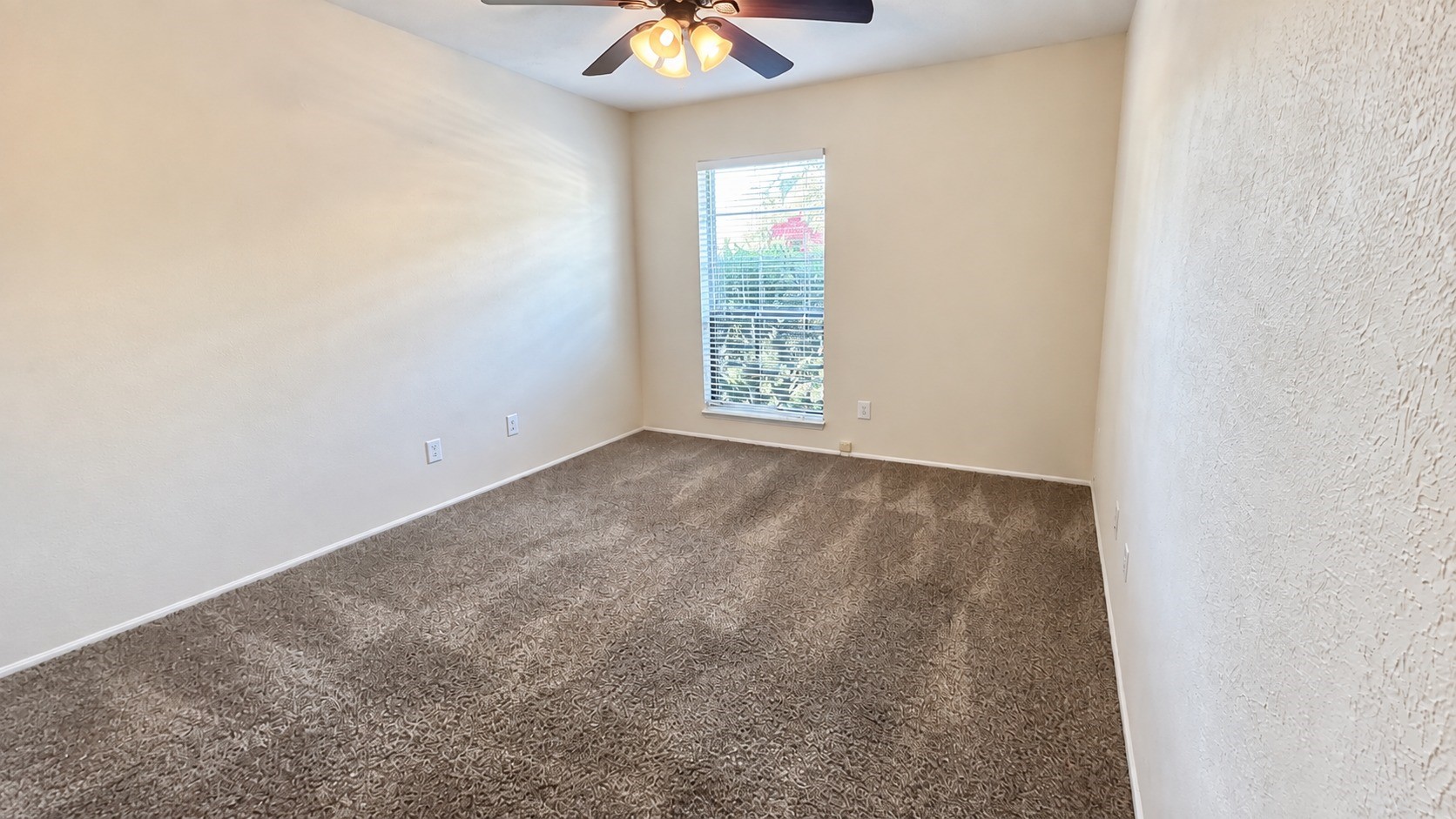 7114 Chinaberry Road