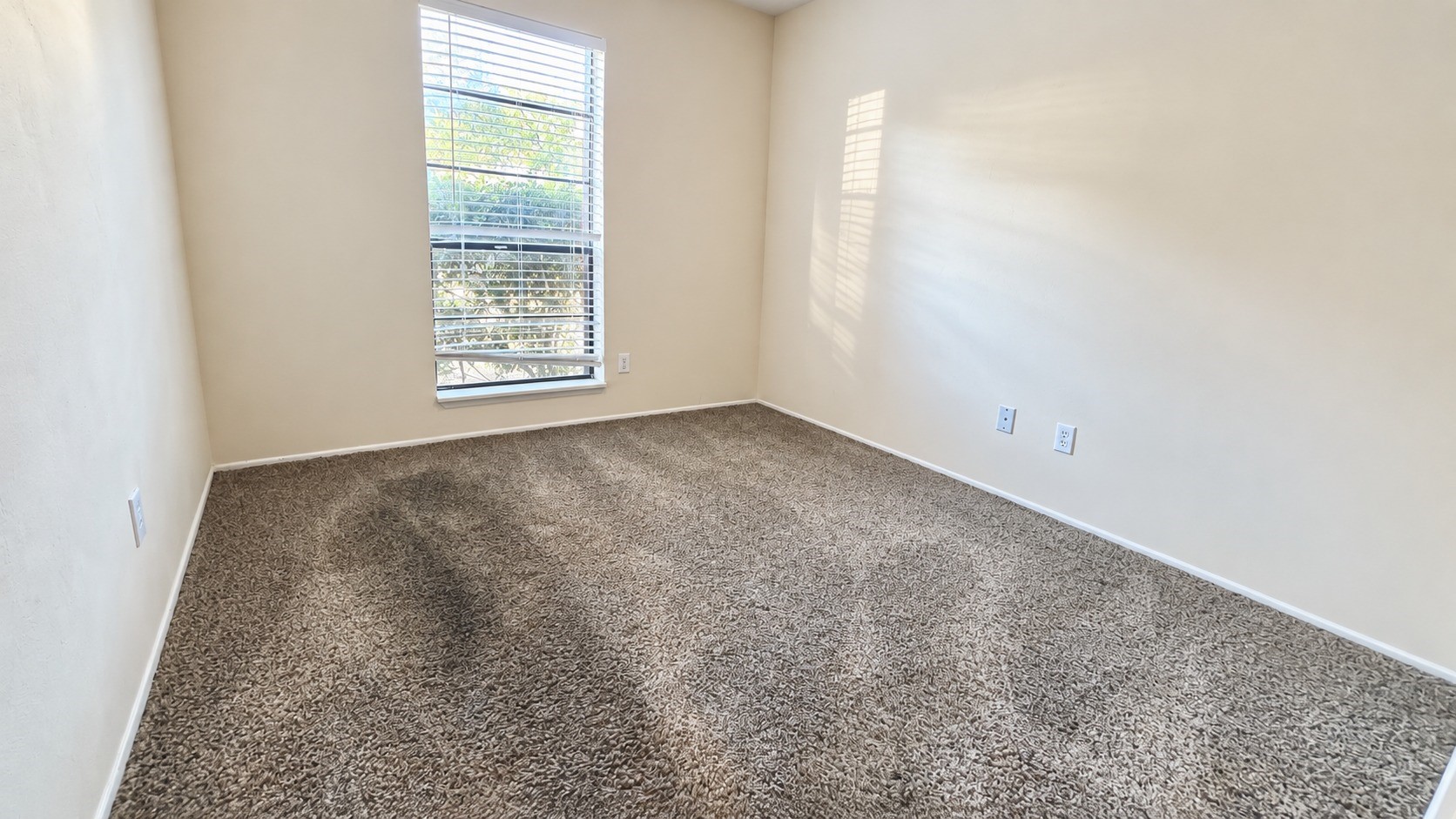 7114 Chinaberry Road