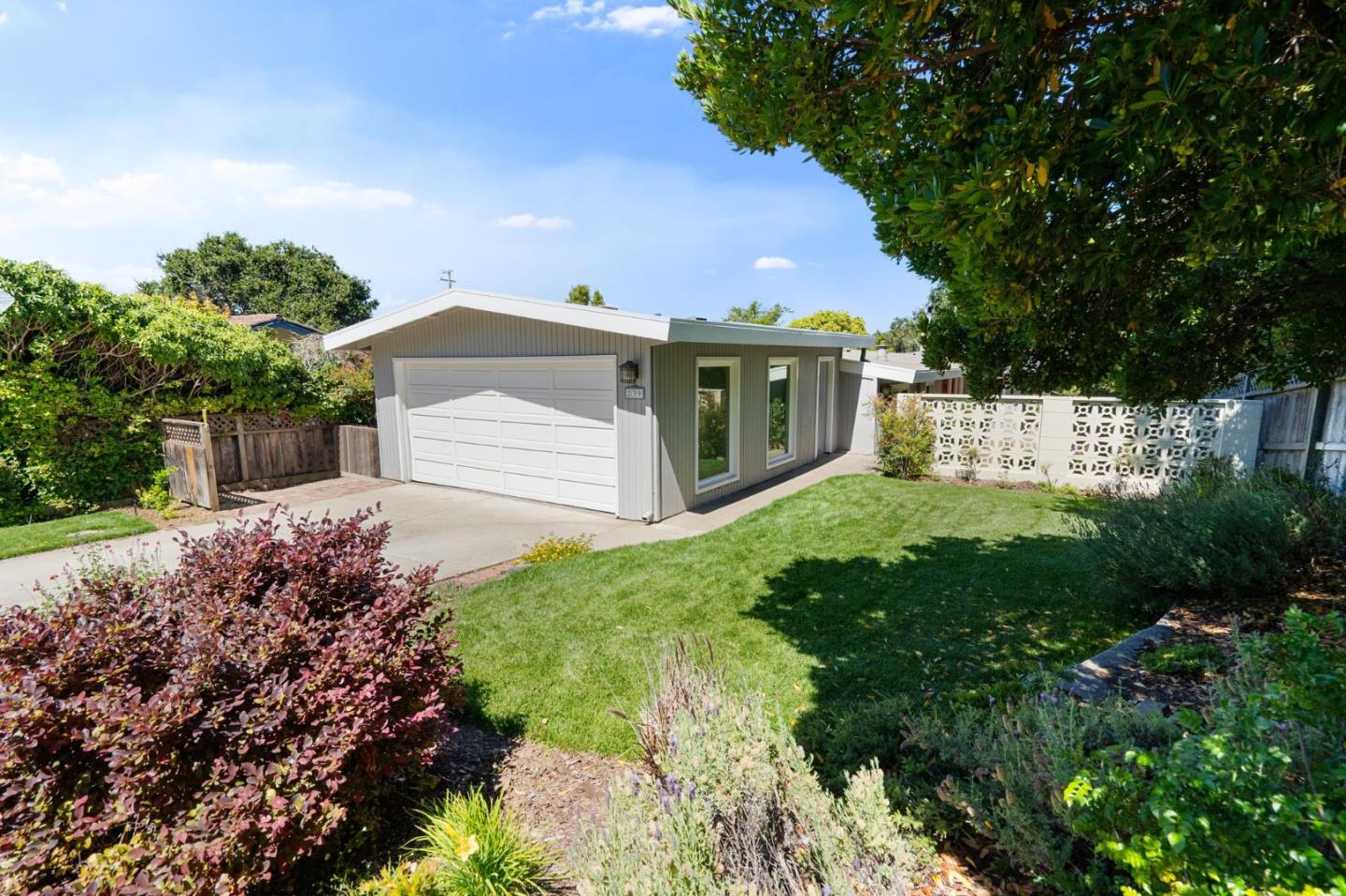 239 Shelford Avenue