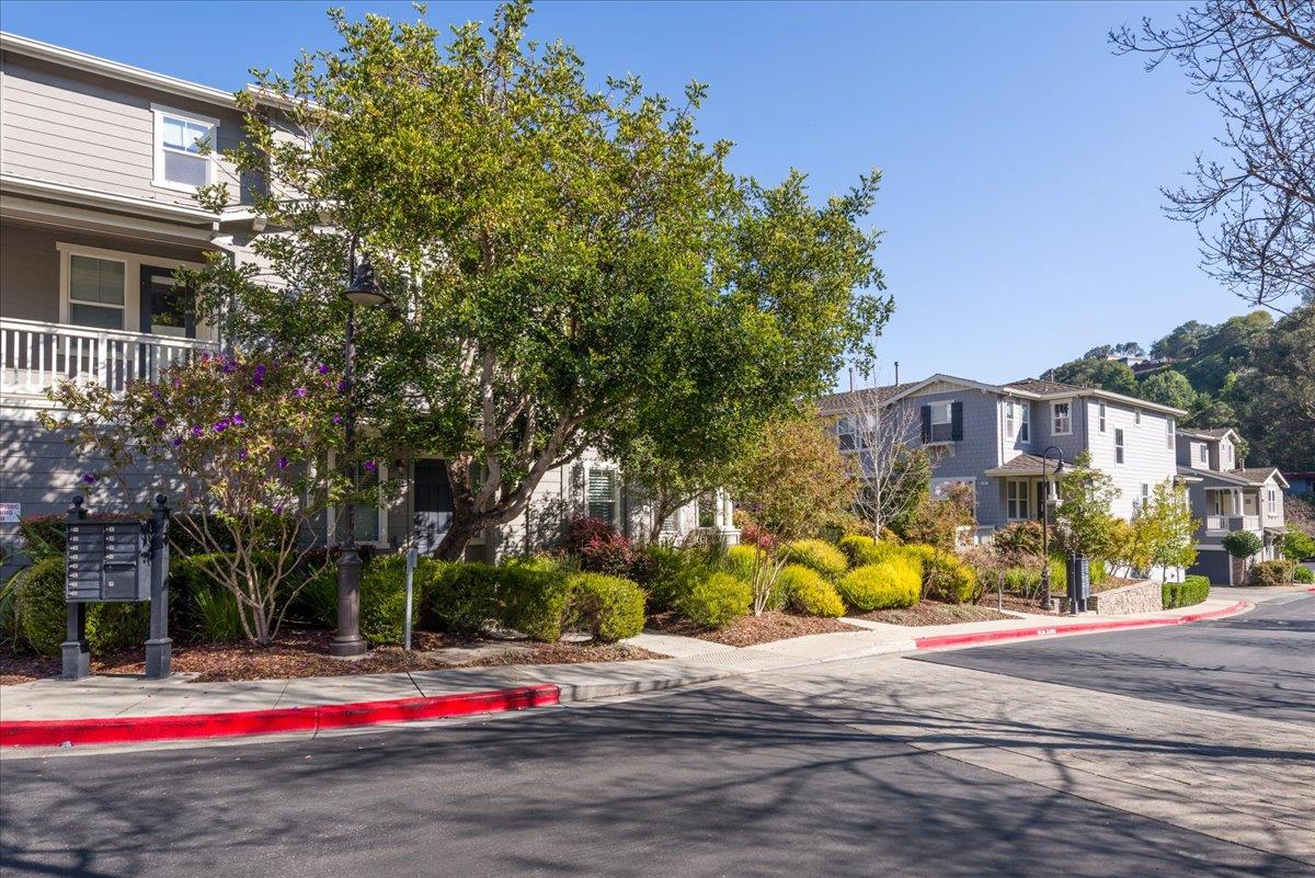 1100 Live Oak Way 1104