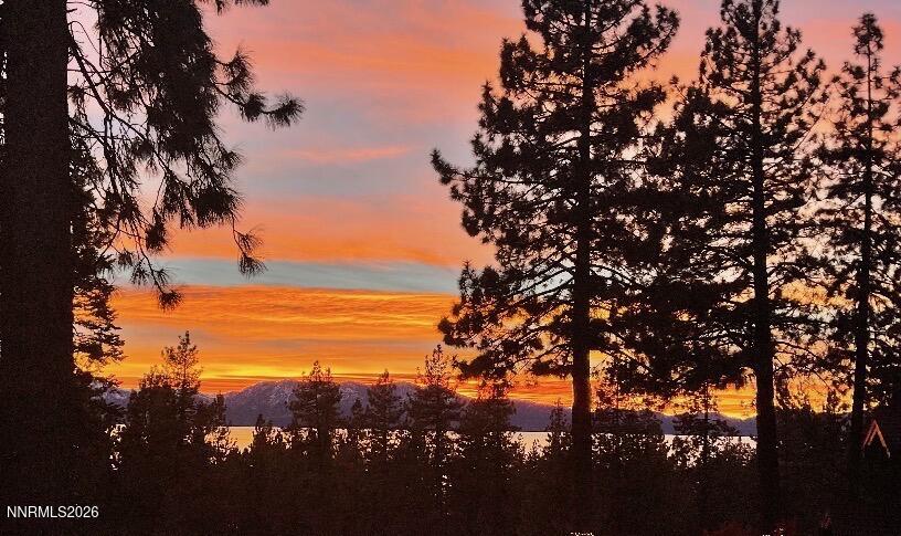 1246 Hidden Woods Drive