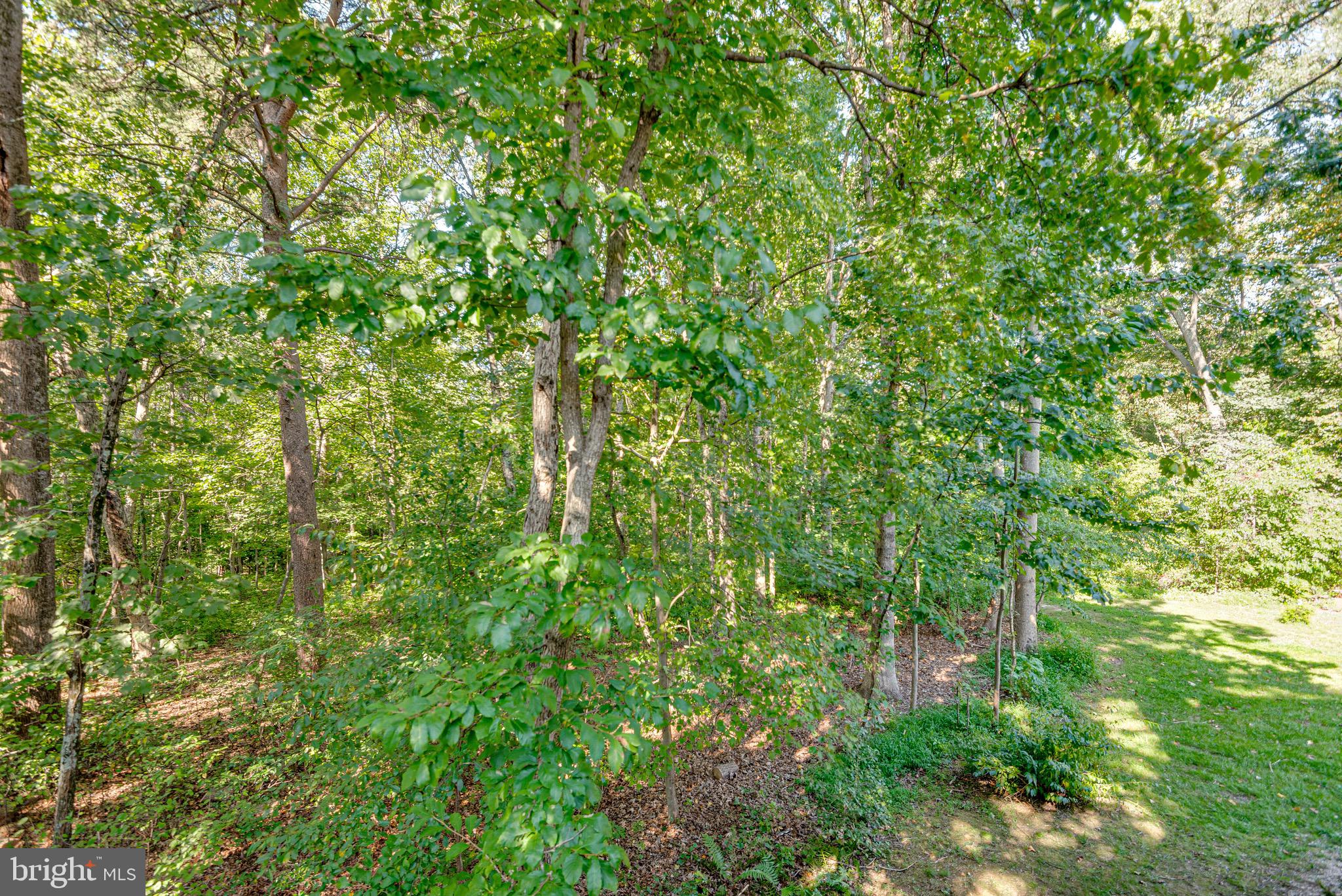 513 Silverbark Ct