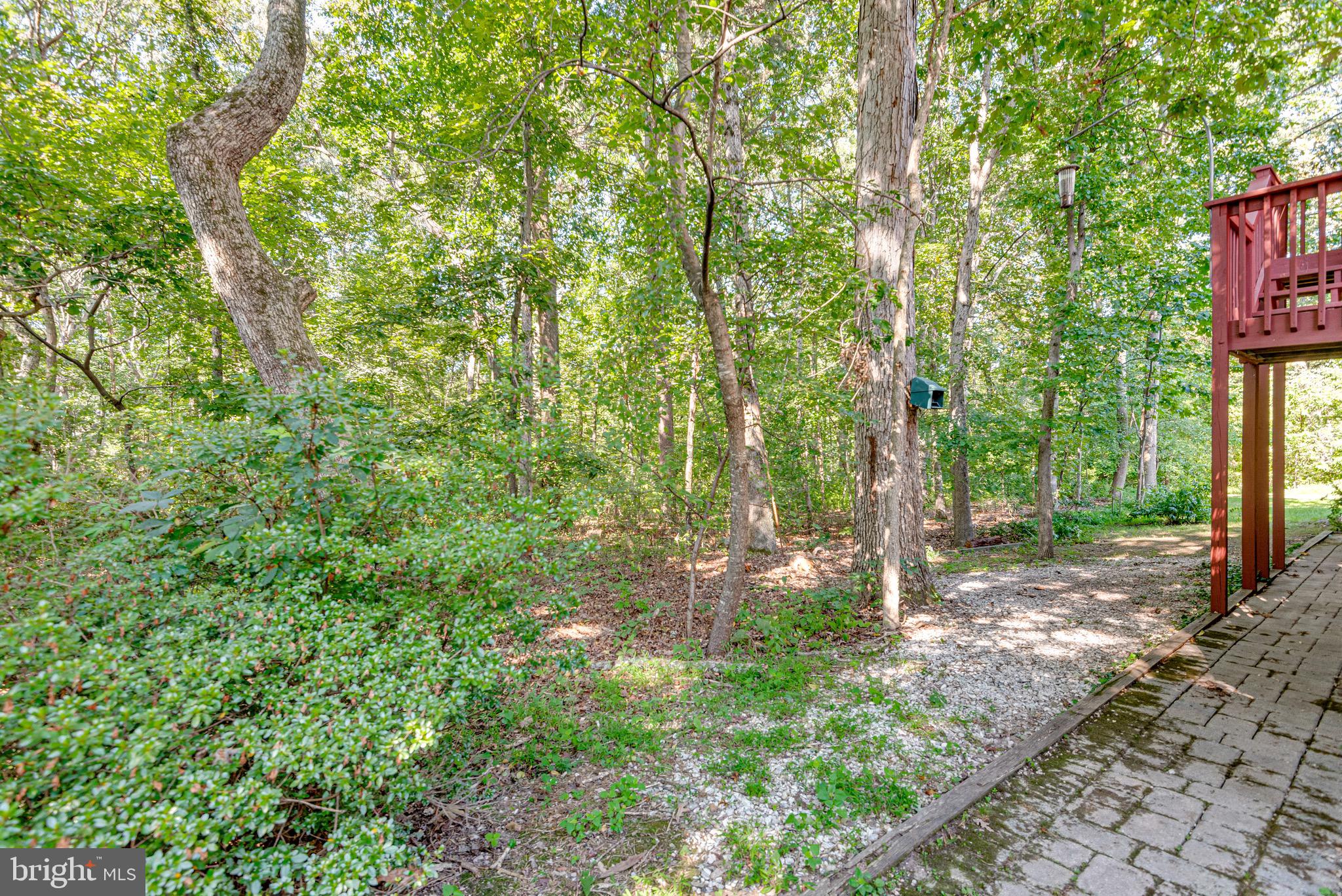 513 Silverbark Ct