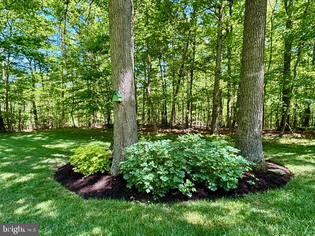 117 Graystone Farm Rd