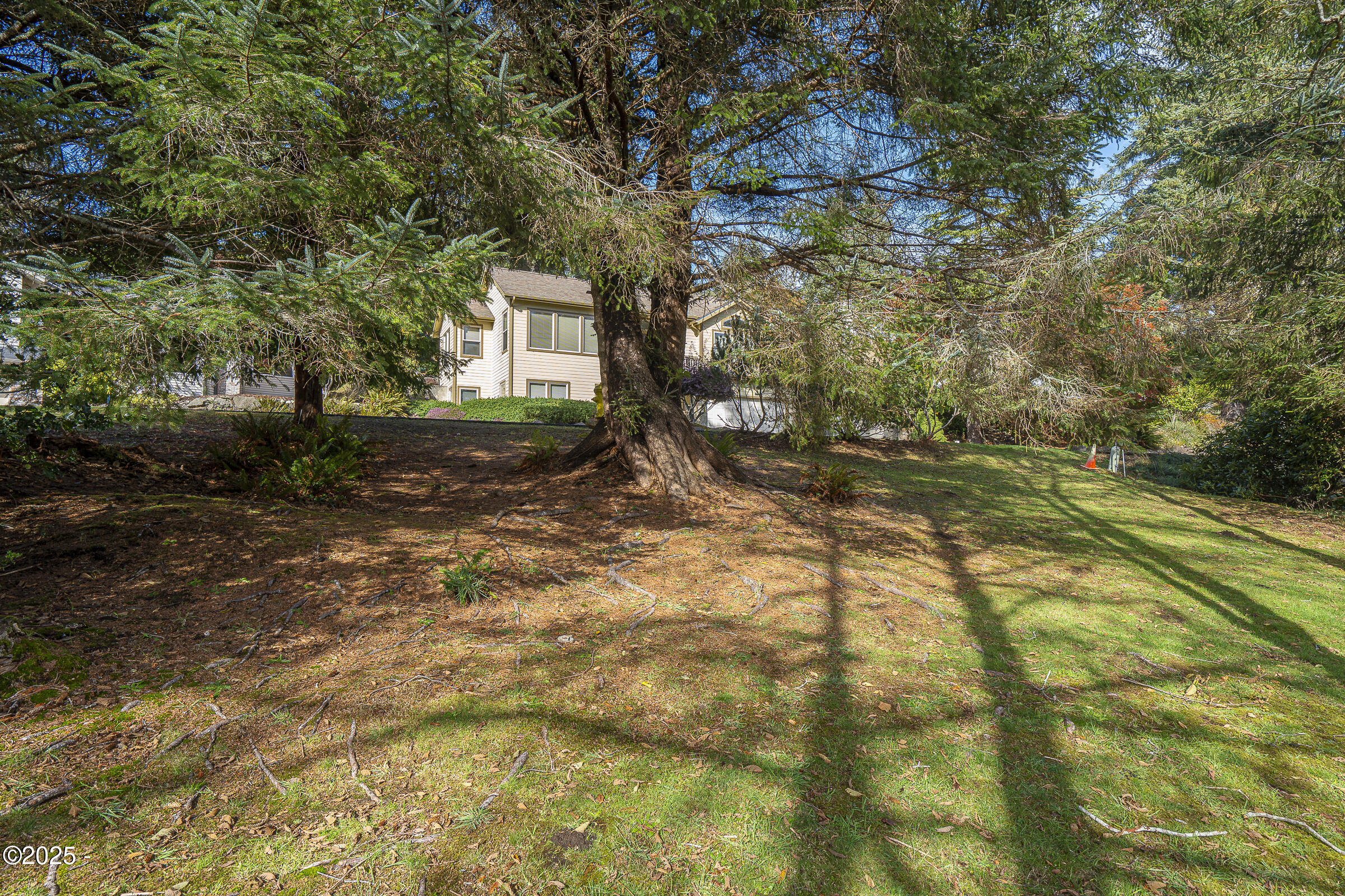 1198 NE Lakewood