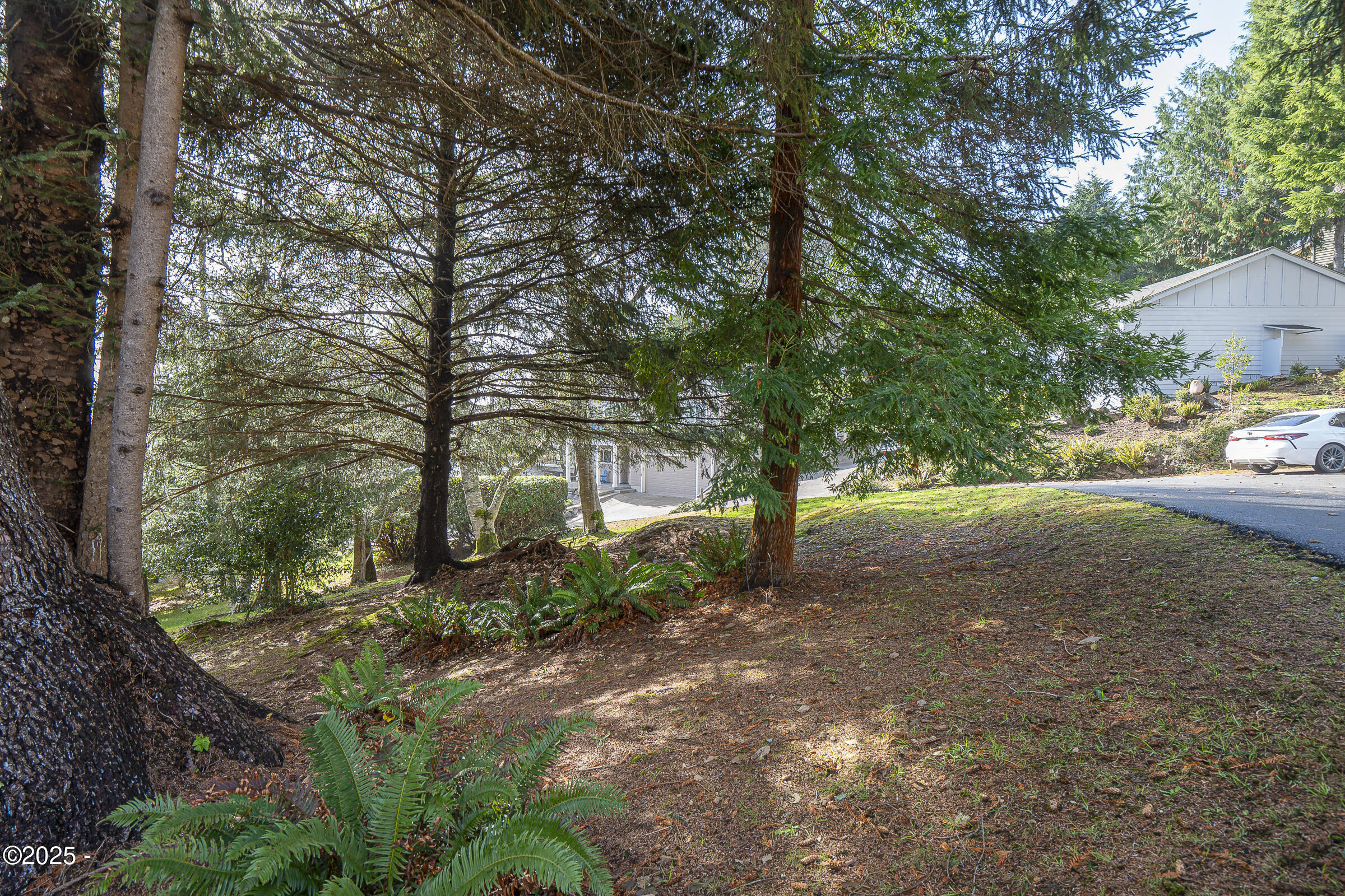 1198 NE Lakewood