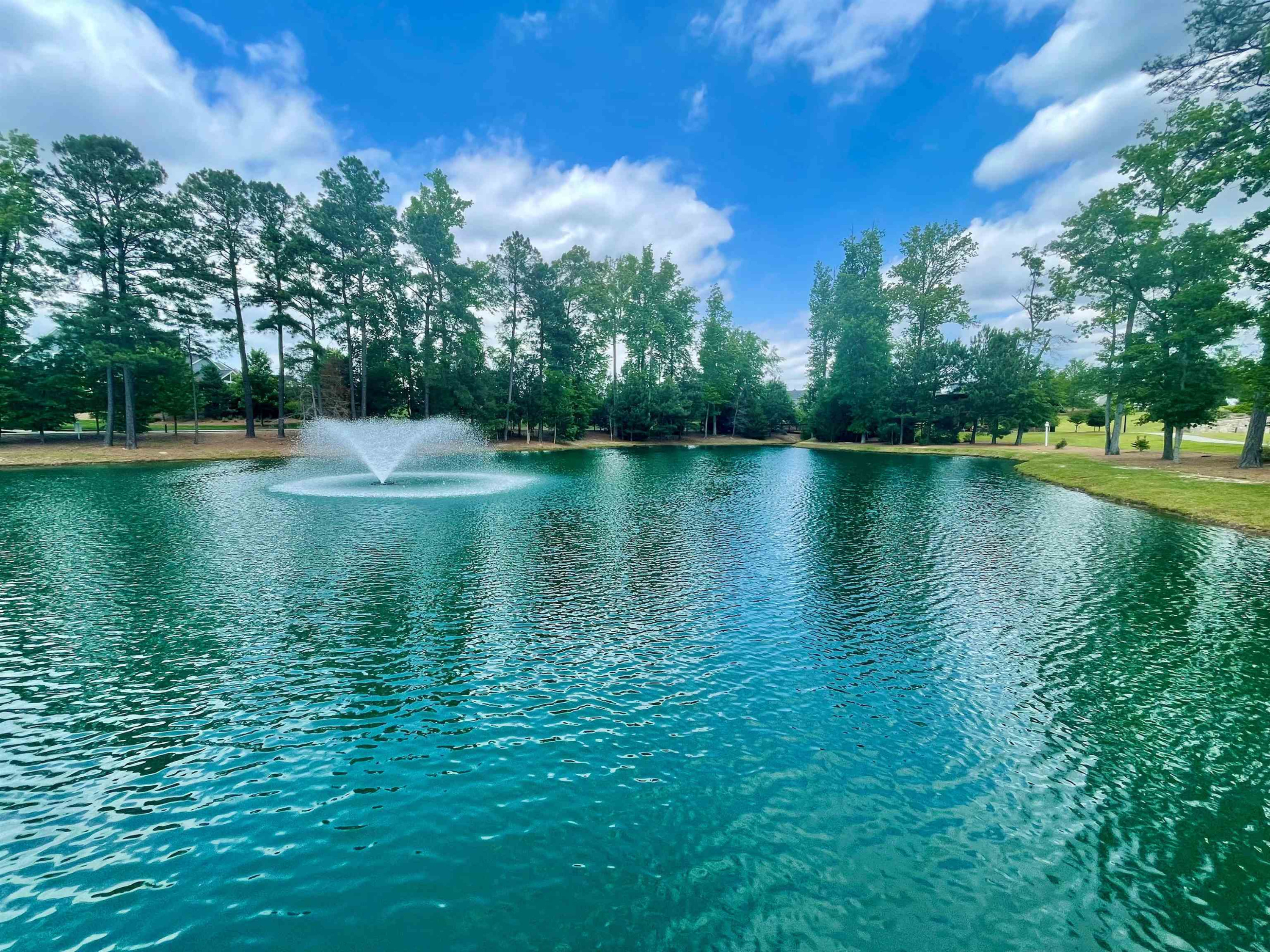 1828 Piney Falls Drive