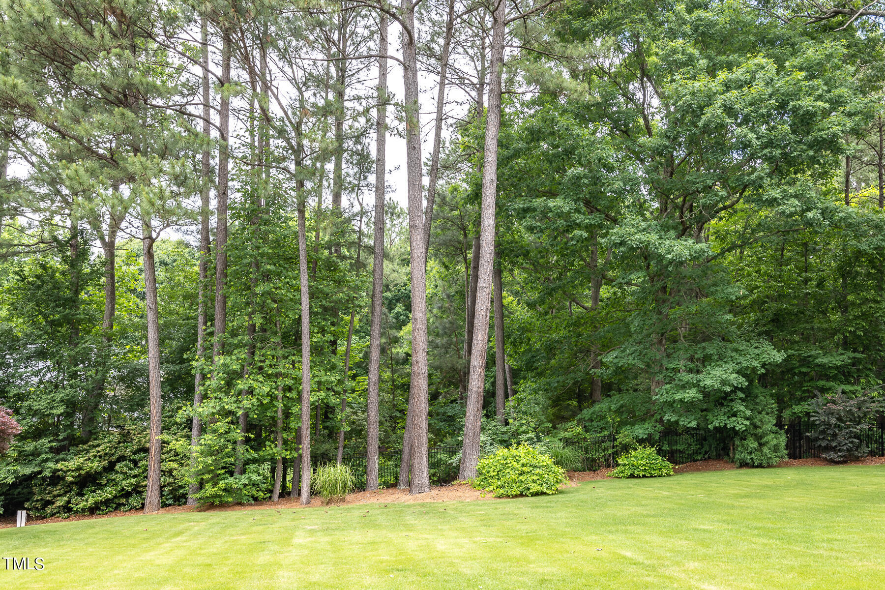 1036 Hawk Hollow Lane