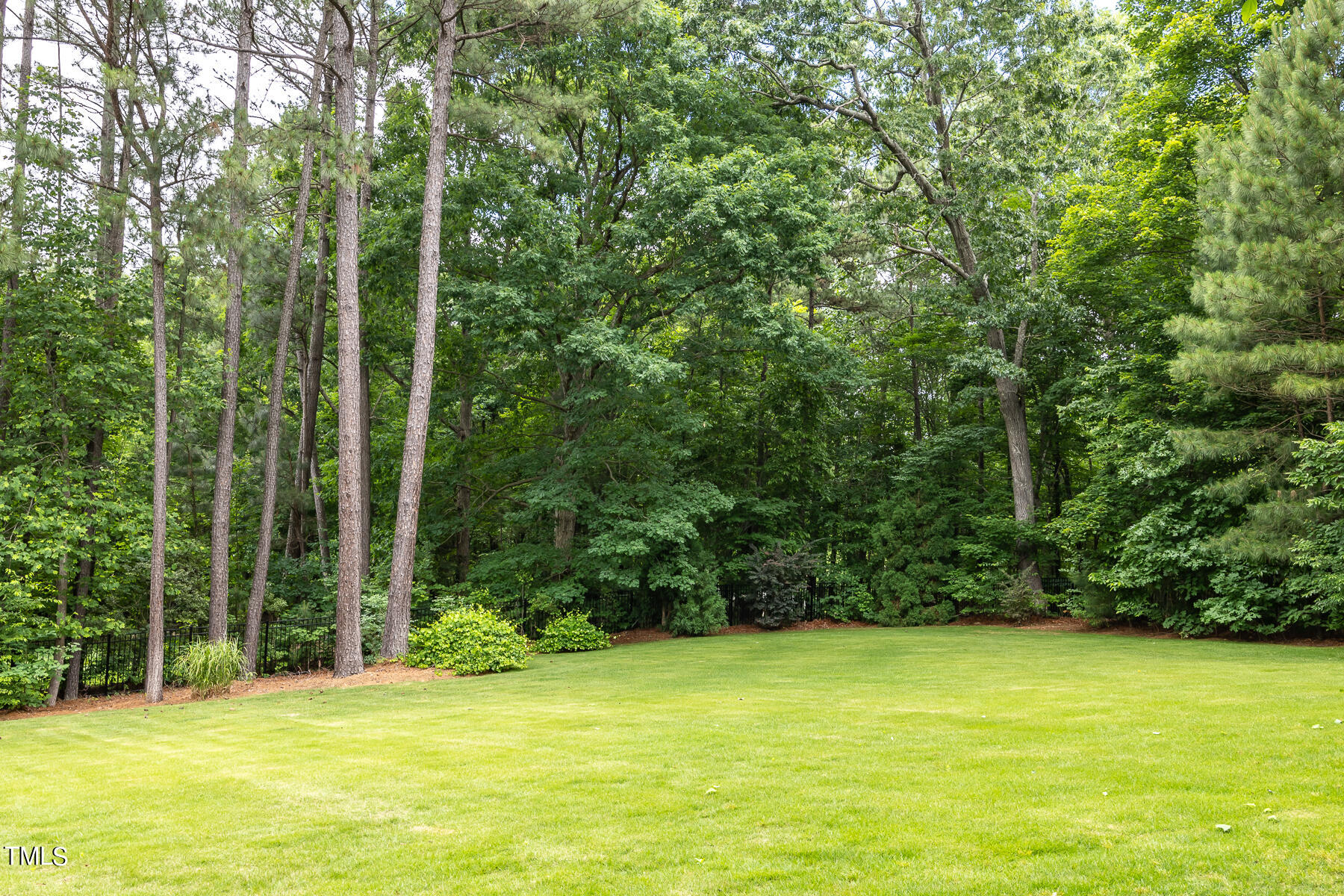 1036 Hawk Hollow Lane