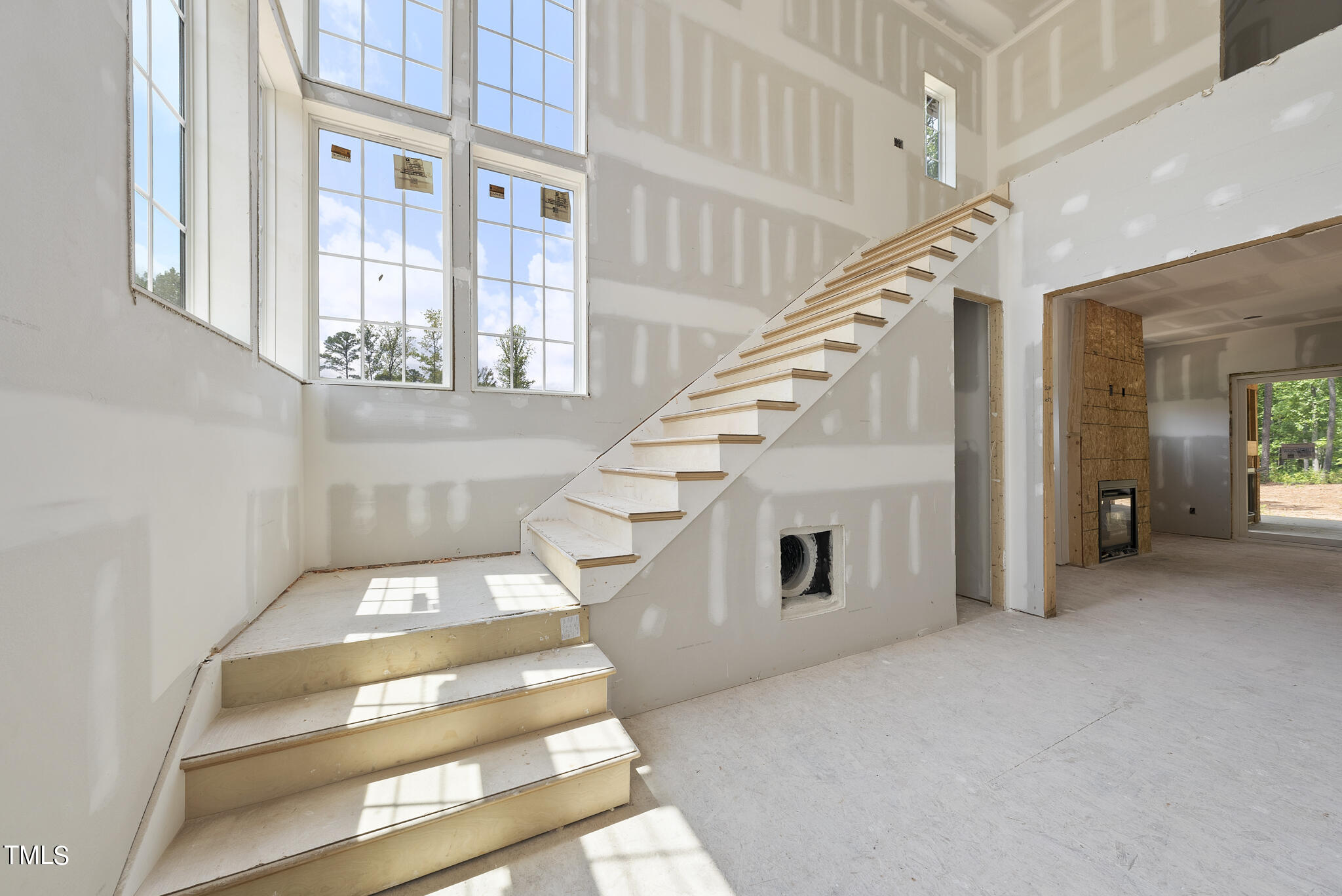 1420 Starry Night Court