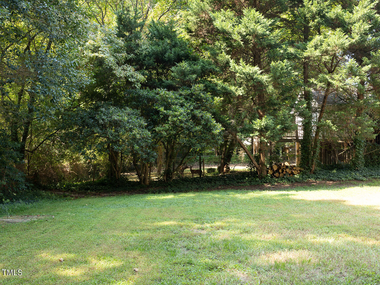 413 Killington Drive