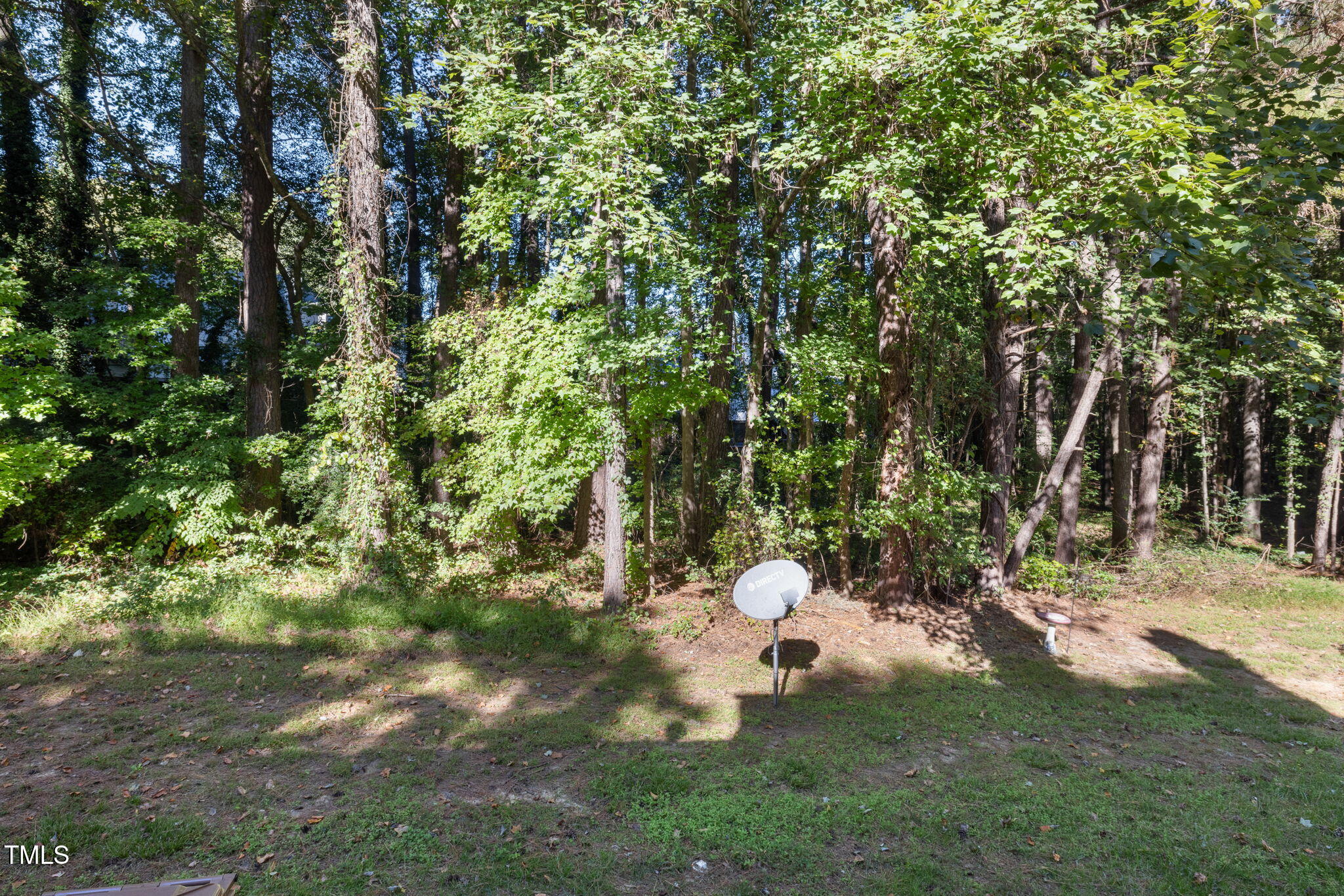 135 Planetree Lane