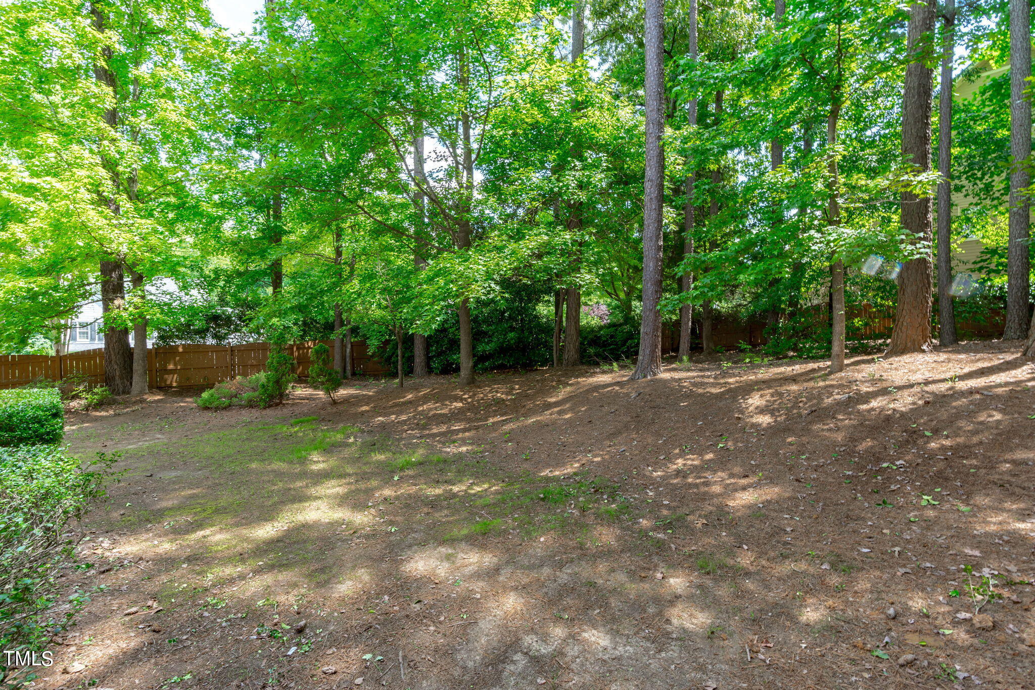 101 Caymus Court