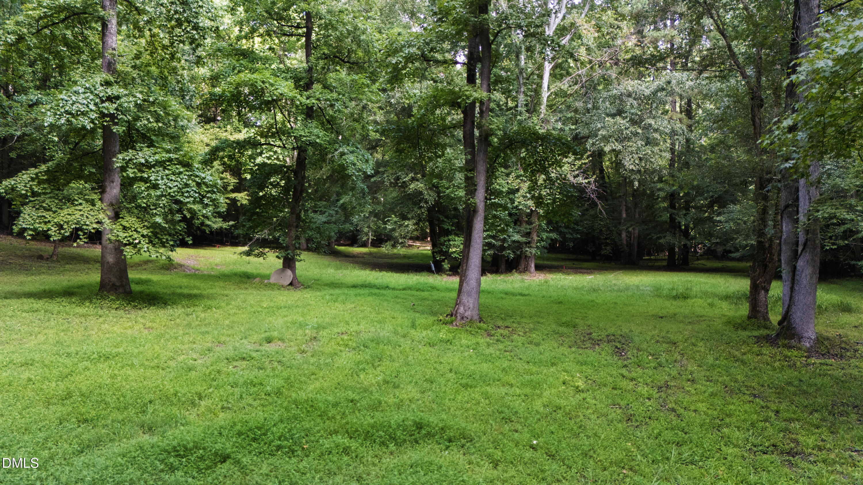7036 Sirius Lane