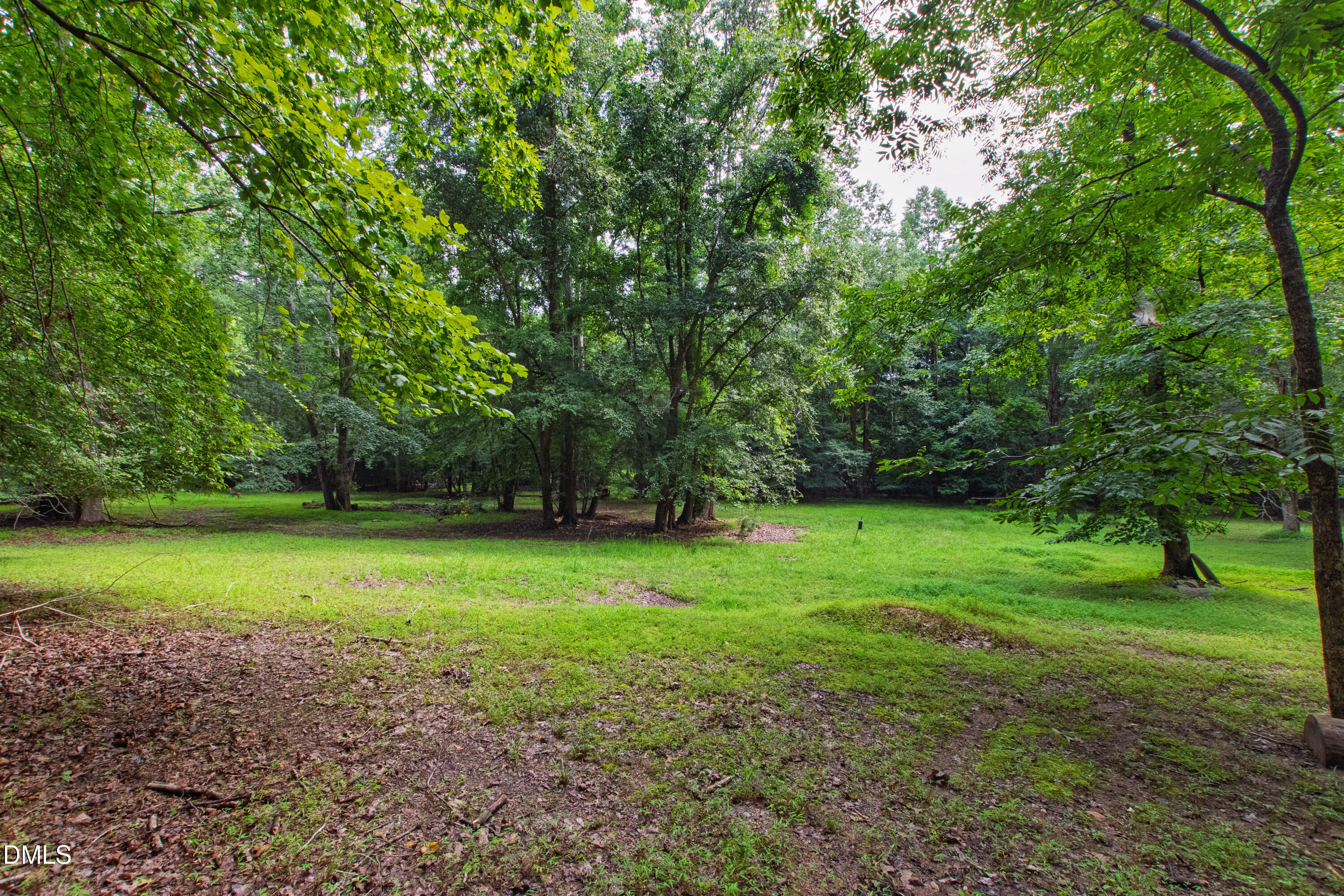 7036 Sirius Lane