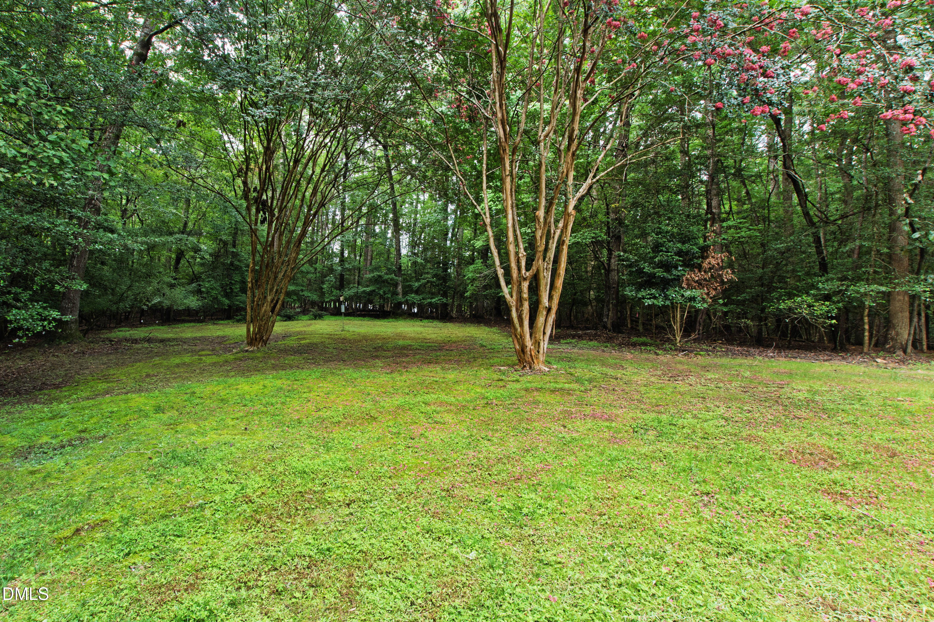 7037 Sirius Lane