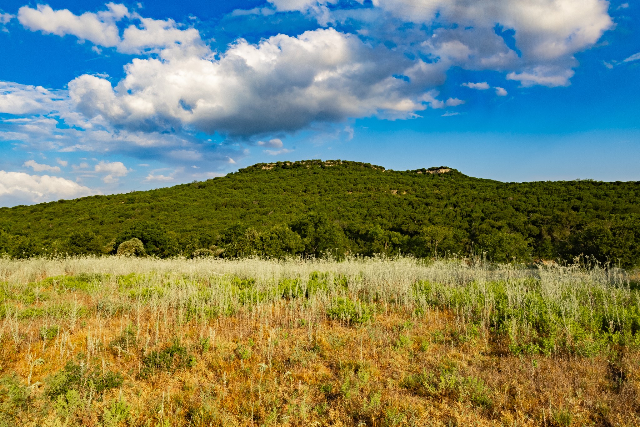 TBD Fortune Bend Road