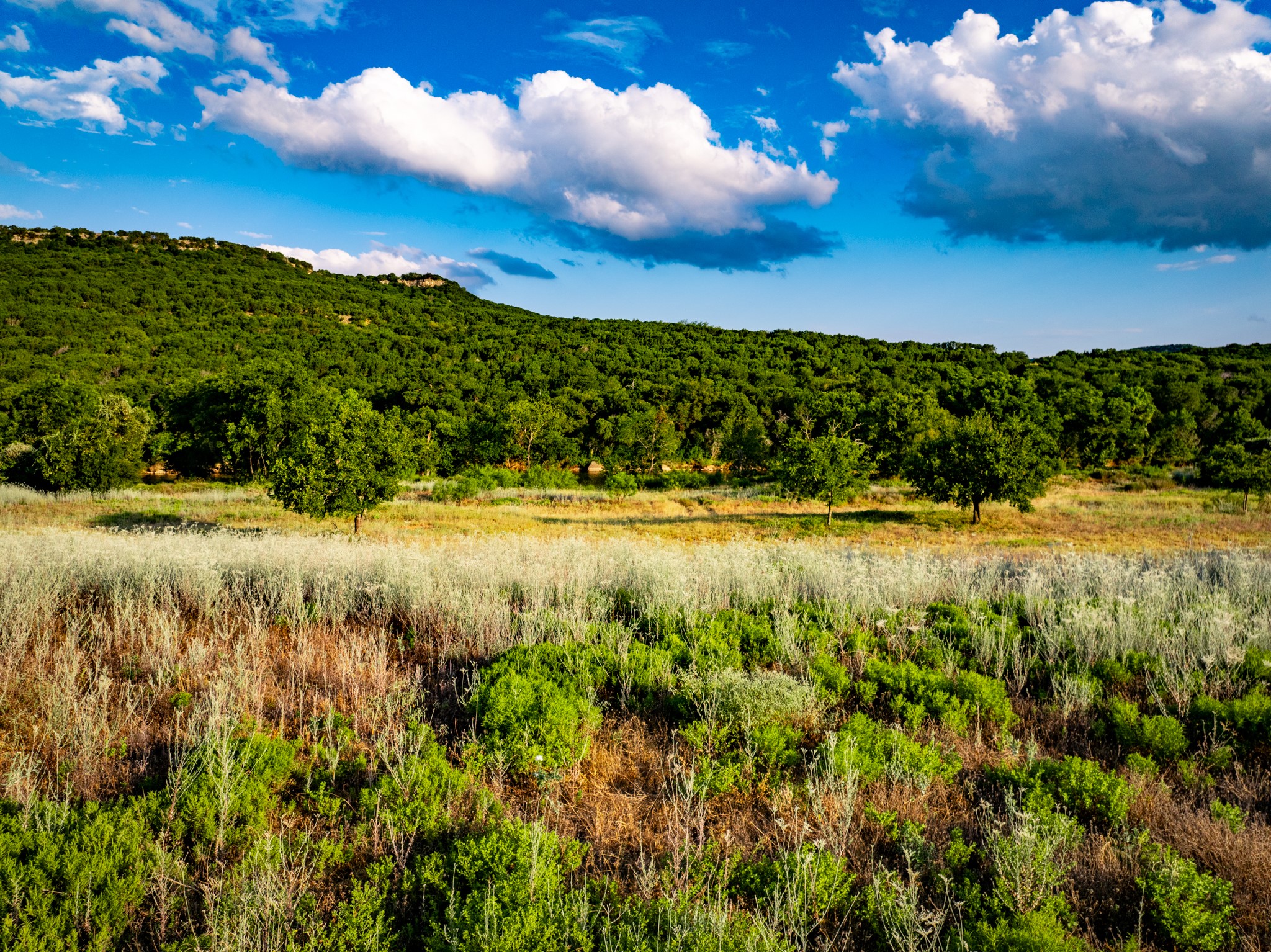 TBD Fortune Bend Road