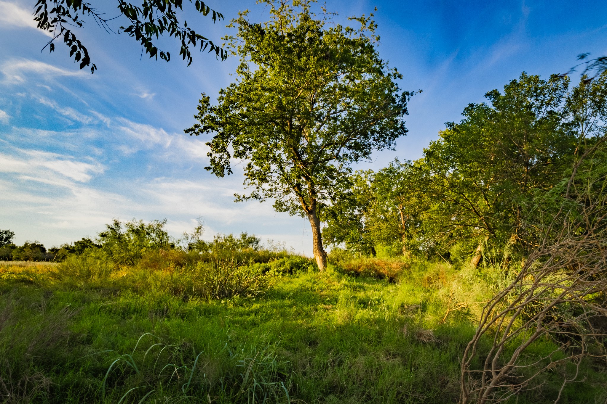 TBD Fortune Bend Road