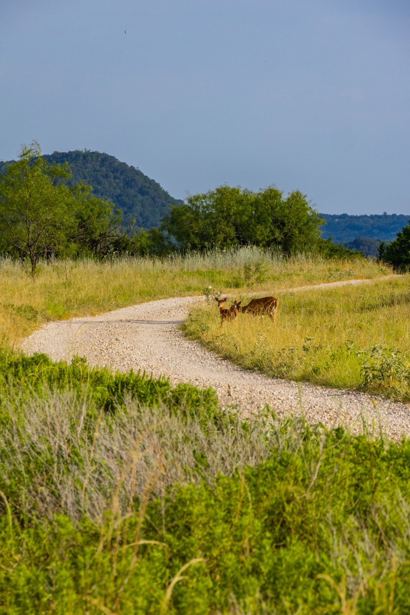 TBD Fortune Bend Road