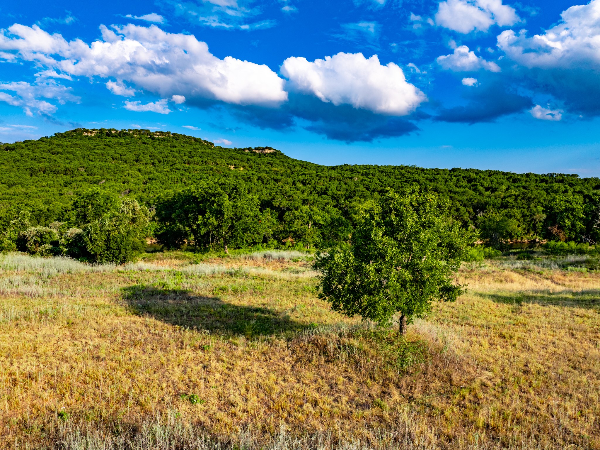 TBD Fortune Bend Road