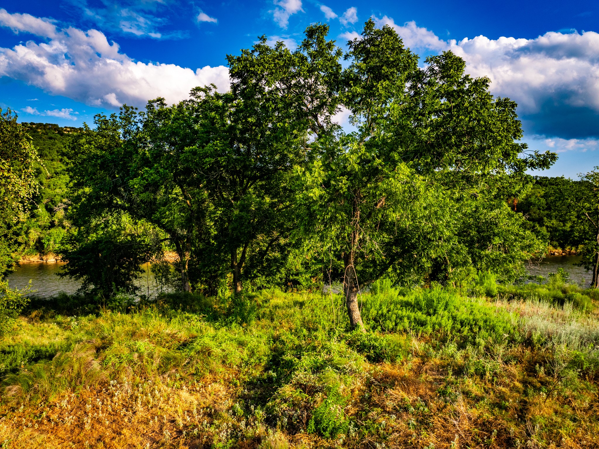 TBD Fortune Bend Road