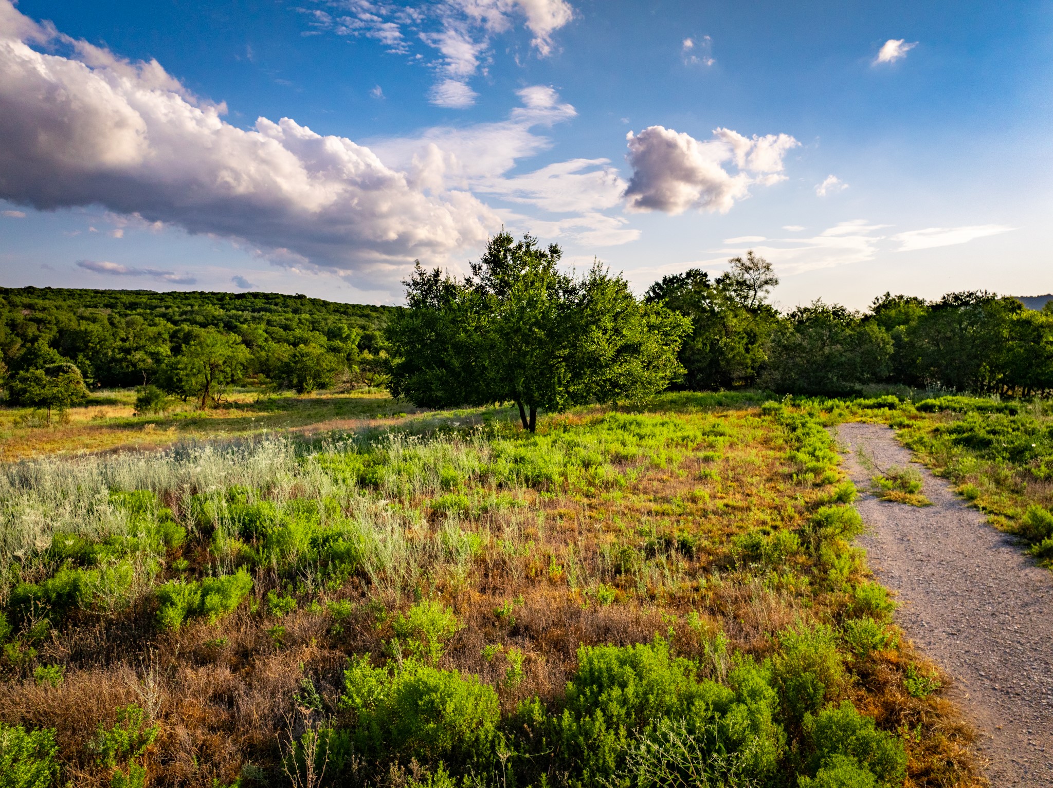 TBD Fortune Bend Road