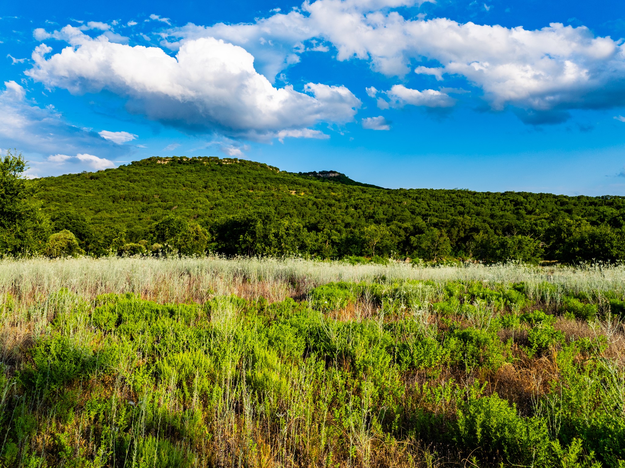 TBD Fortune Bend Road