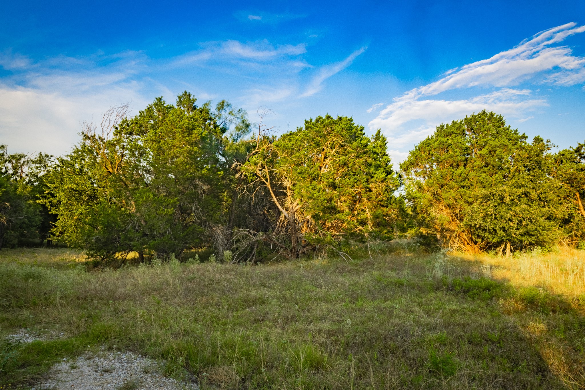 TBD Fortune Bend Road