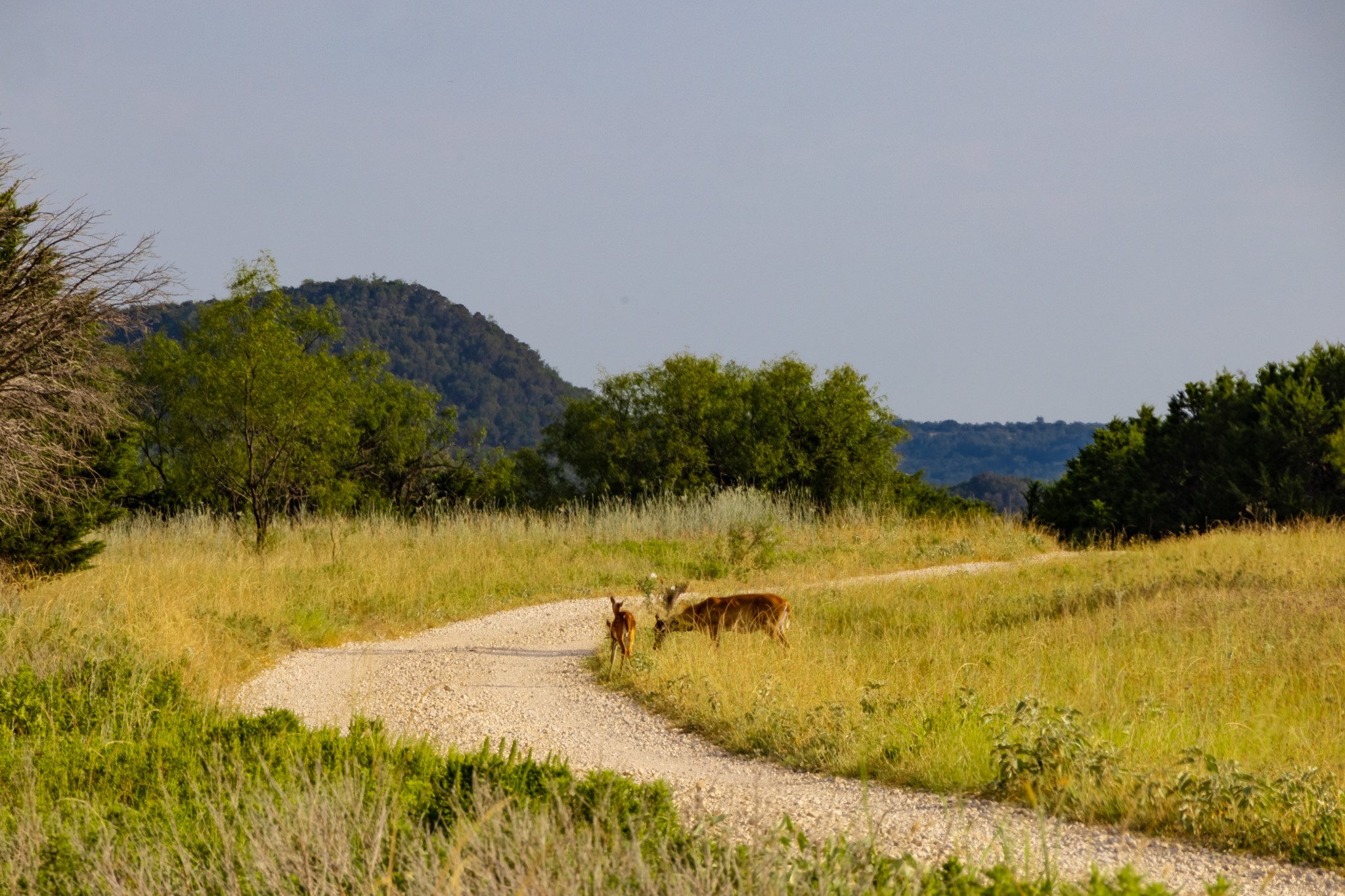 TBD Fortune Bend Road
