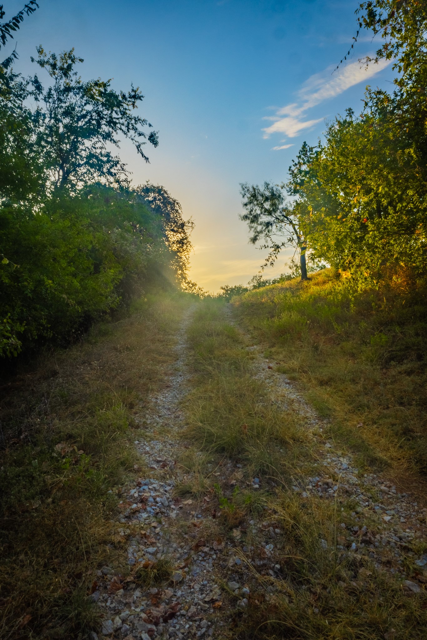 TBD Fortune Bend Road