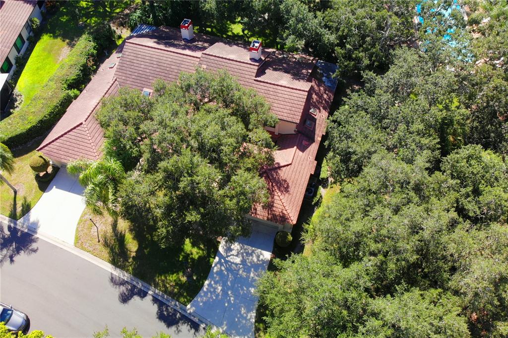 7351 SILVER FERN BLVD #82
