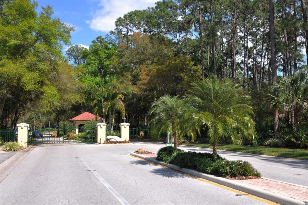 7351 SILVER FERN BLVD #82