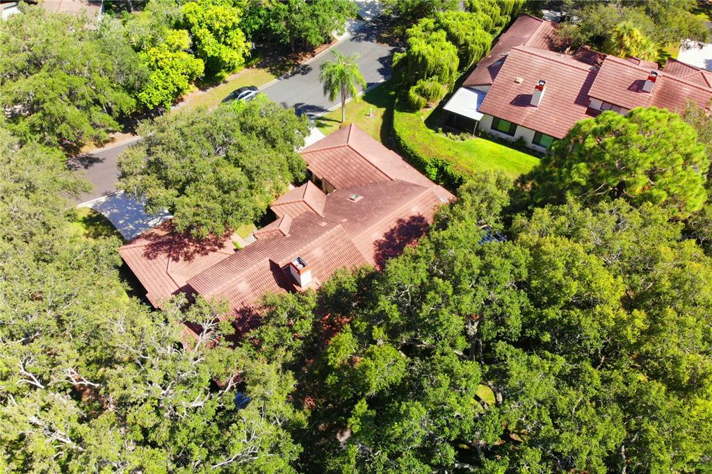 7351 SILVER FERN BLVD #82