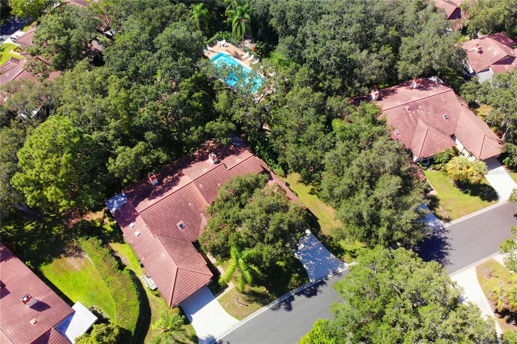 7351 SILVER FERN BLVD #82