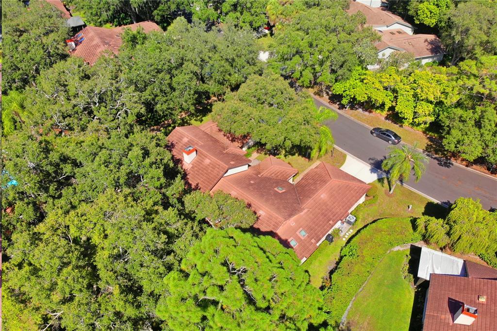 7351 SILVER FERN BLVD #82